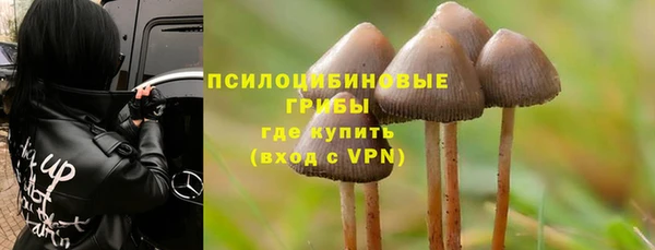 соль курить ск Кулебаки