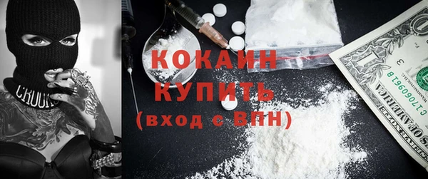 шишки Чекалин
