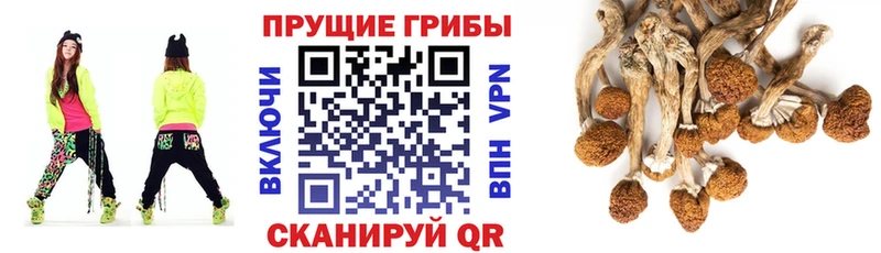 Псилоцибиновые грибы GOLDEN TEACHER  Алагир 
